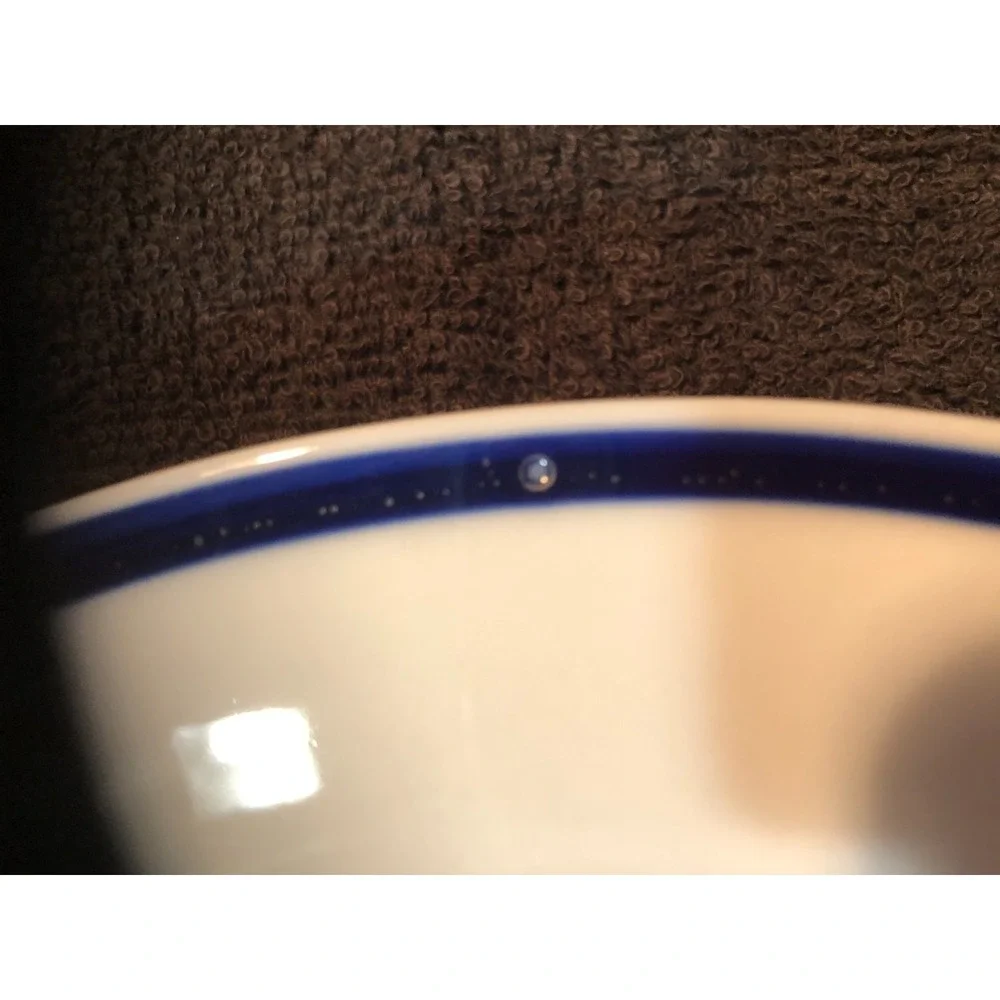 The Cellar Macy's Blue White Blue Band Dinner Plate~11